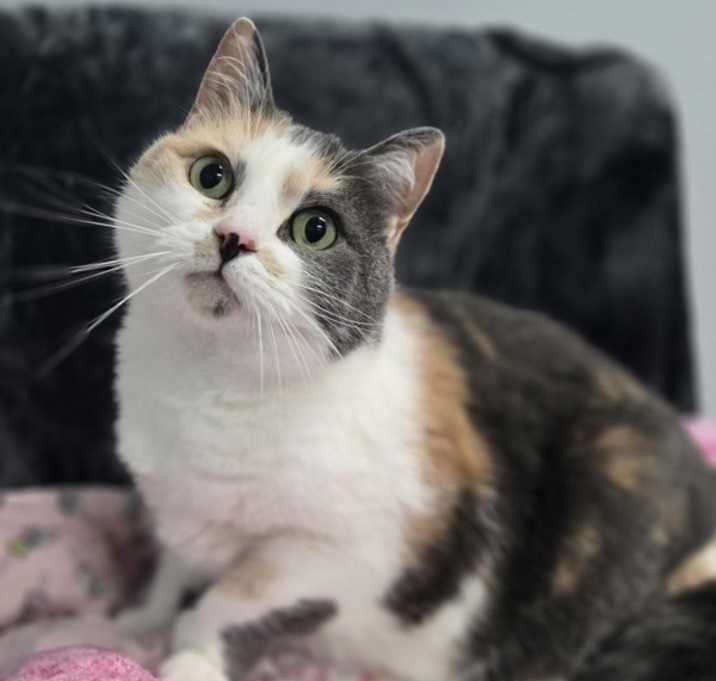 Photo of Mitzy