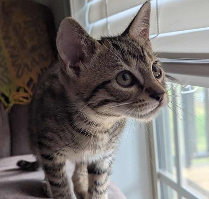 Photo of Ash