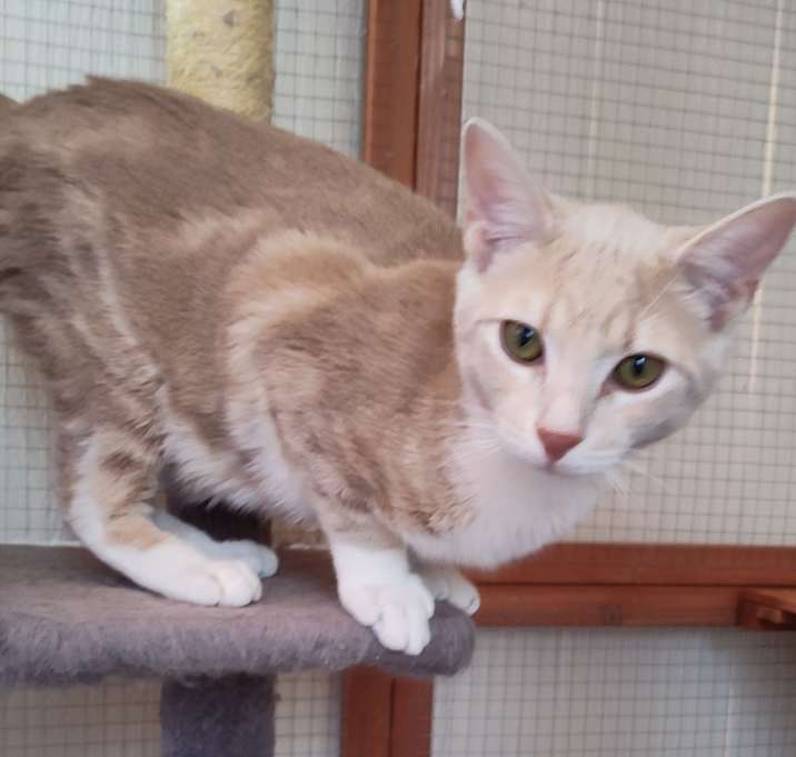 Photo of Ralphie