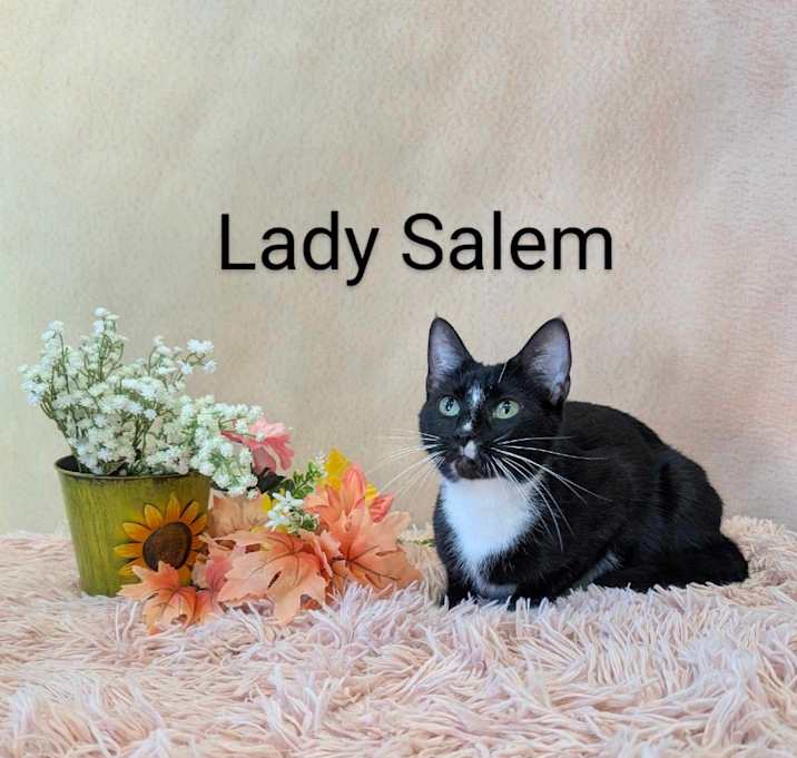 Photo of Lady Salem
