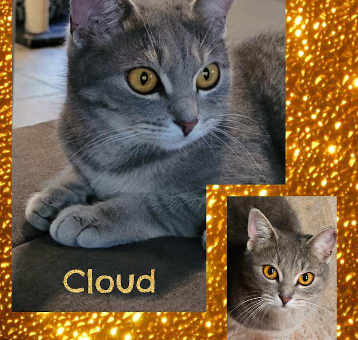 Photo of Cloud