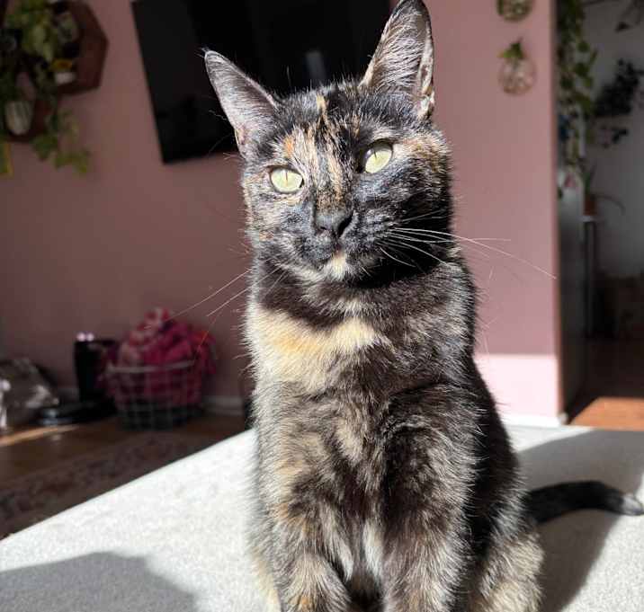 Photo of Velma