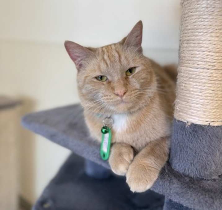 Photo of Alice