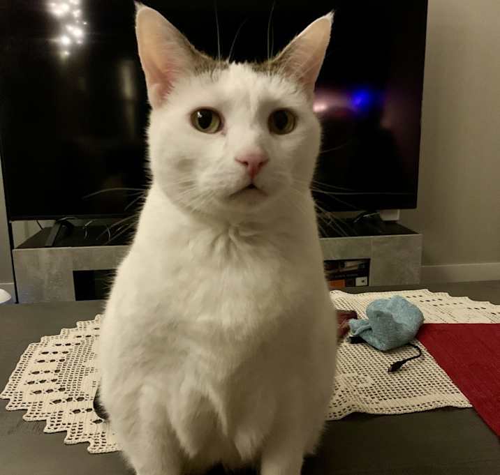Photo of Jasmin