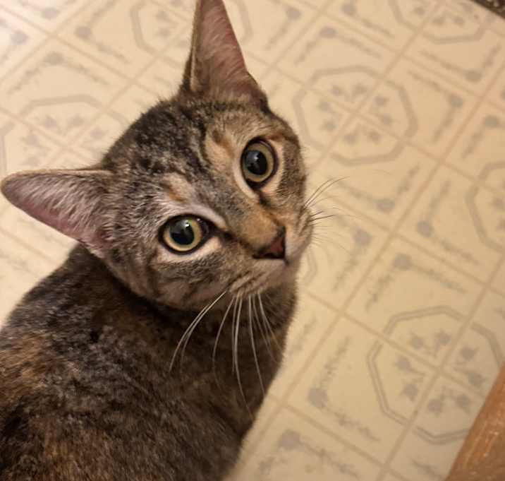 Photo of Nugget Willingham