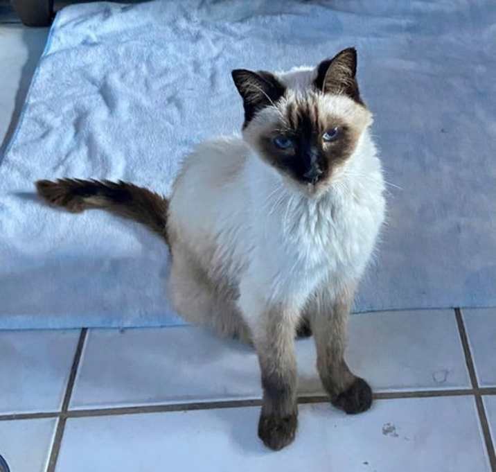 Photo of CLEOPATRA
