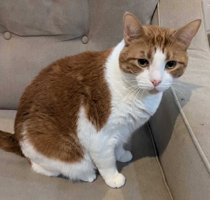 Photo of Smalls
