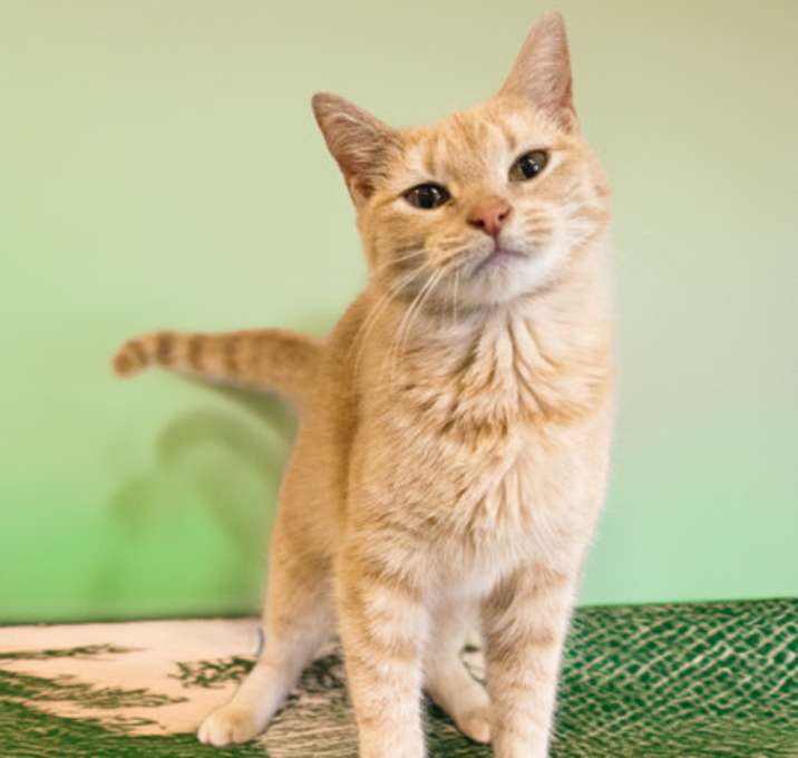 Photo of Ramona