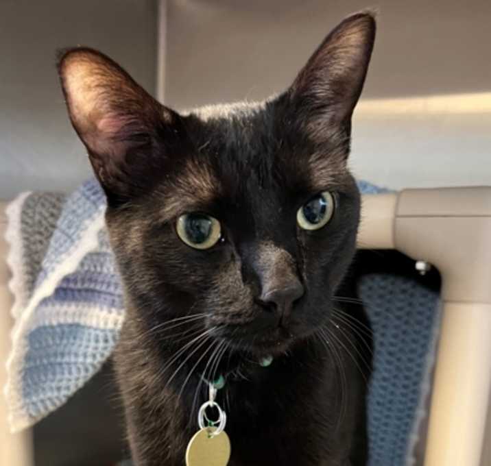 Photo of Oliver