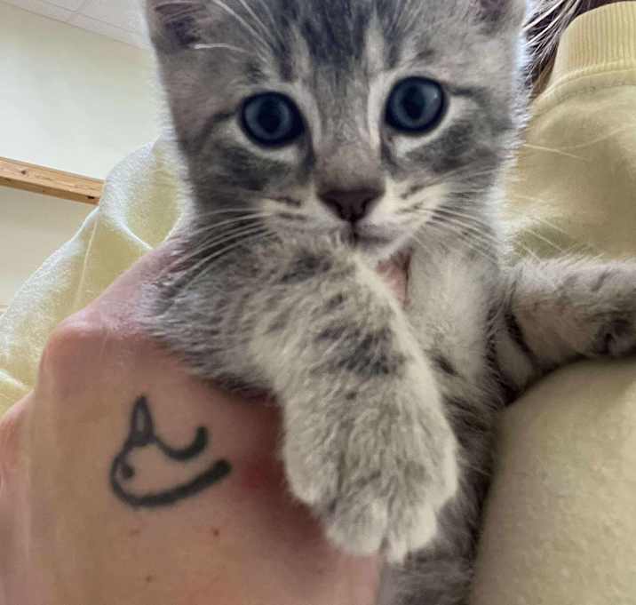 Photo of Sapphire