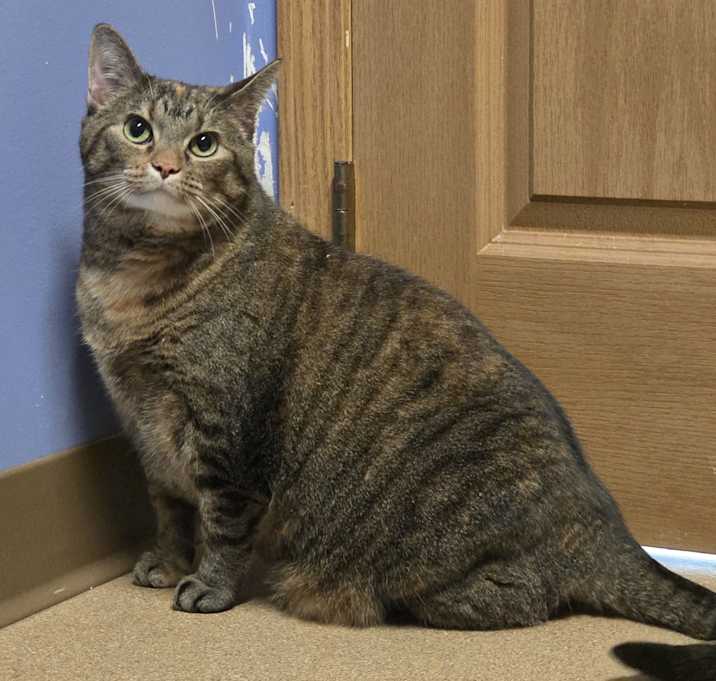 Photo of Charlee