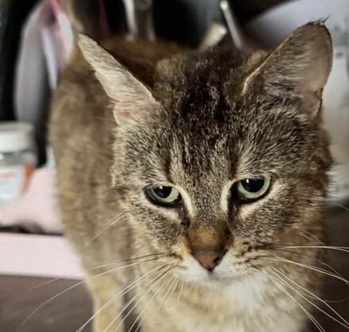 Photo of Mala