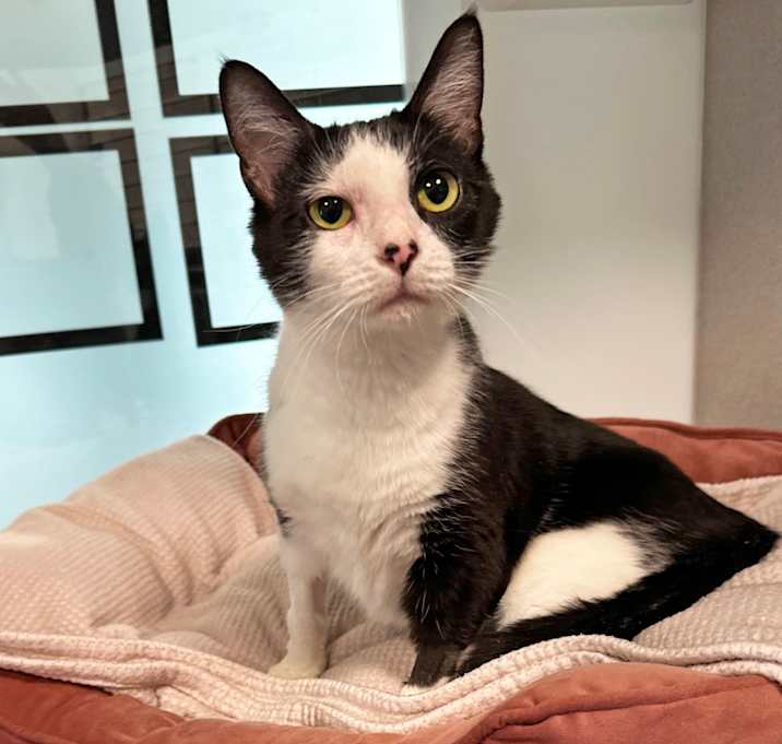 Photo of Marble