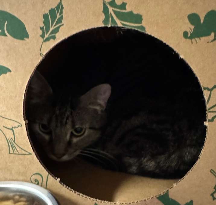 Photo of Thelma 