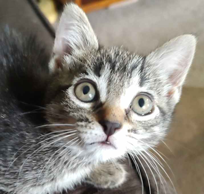 Photo of Holly