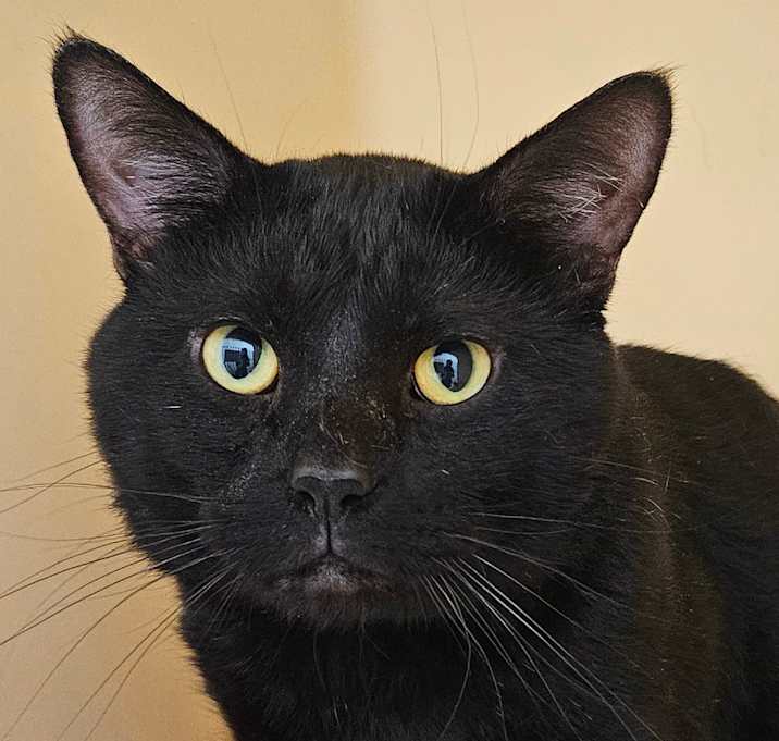 Photo of Clyde