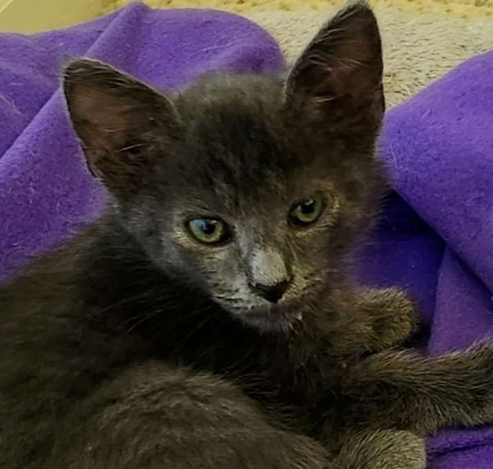 Photo of Zeus