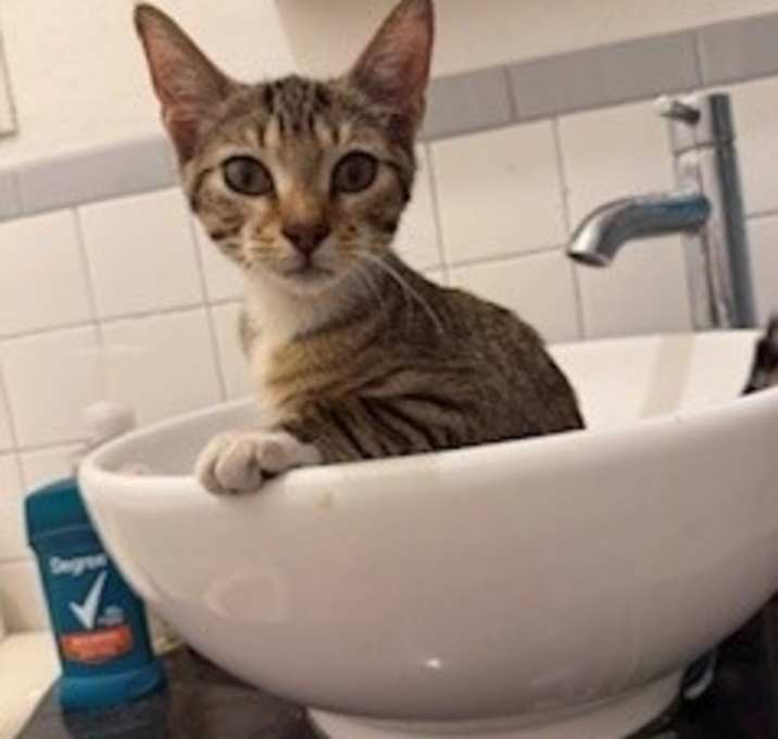 Photo of Jasper