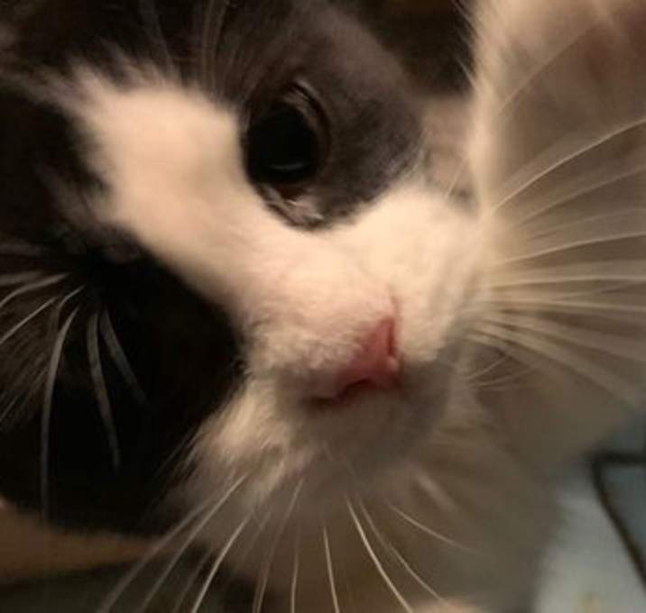 Photo of Boo Boo