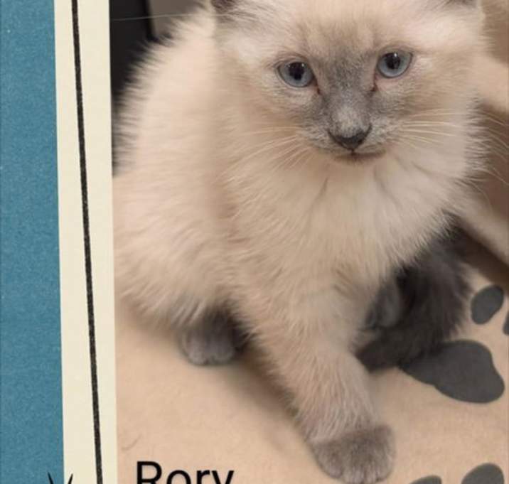 Photo of Rory