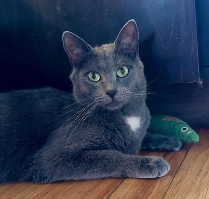 Photo of Charleen
