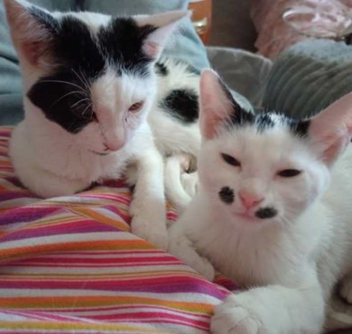 Photo of Alika and Pualani
