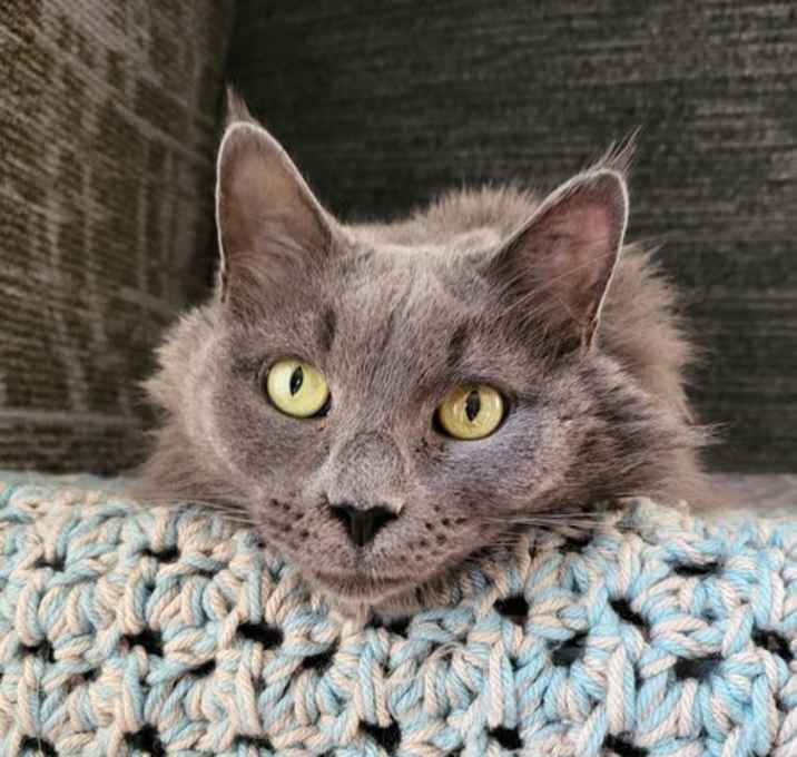 Photo of Makai