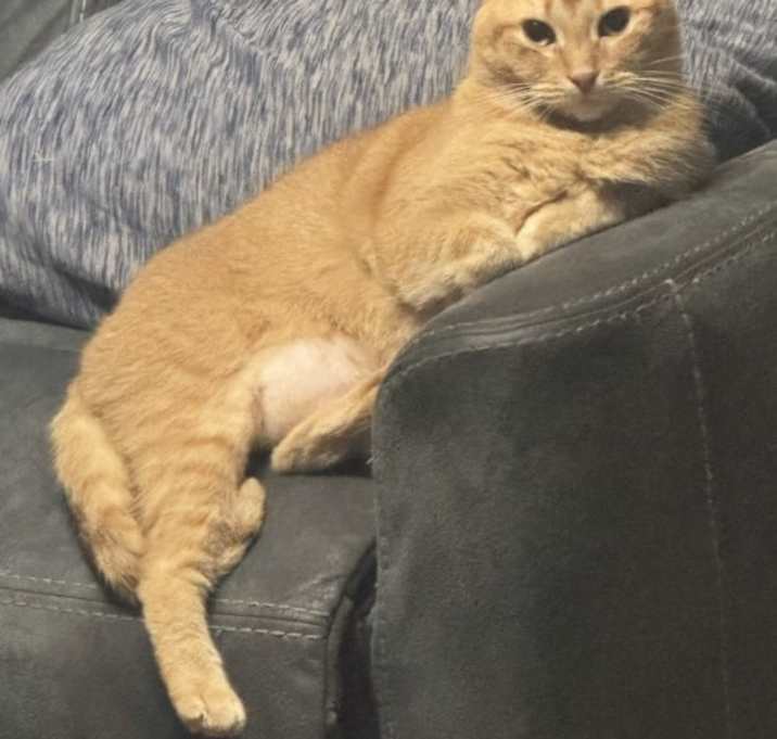 Photo of Sandy