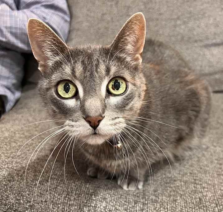 Photo of Buster