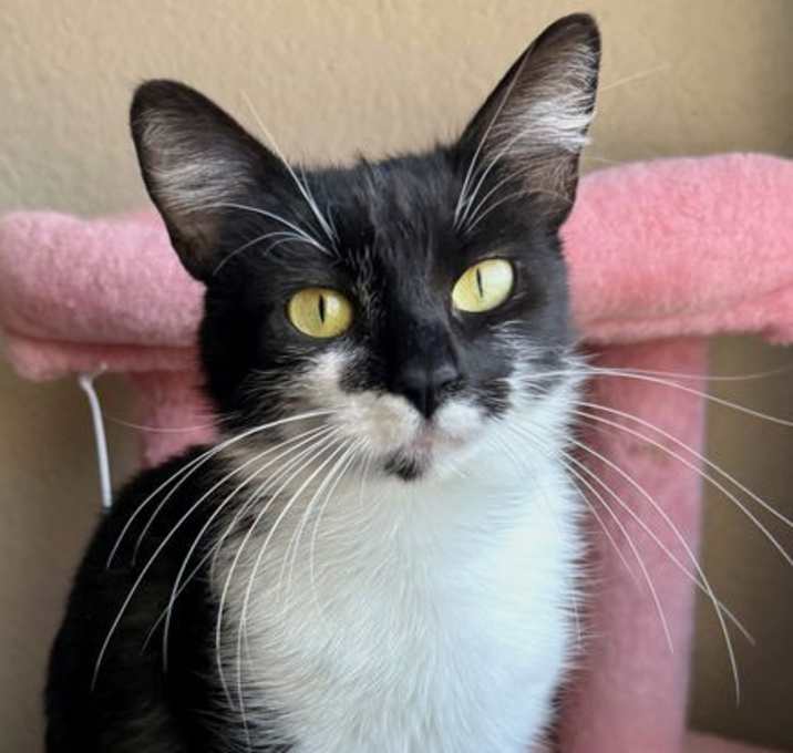 Photo of Tippy [CP]