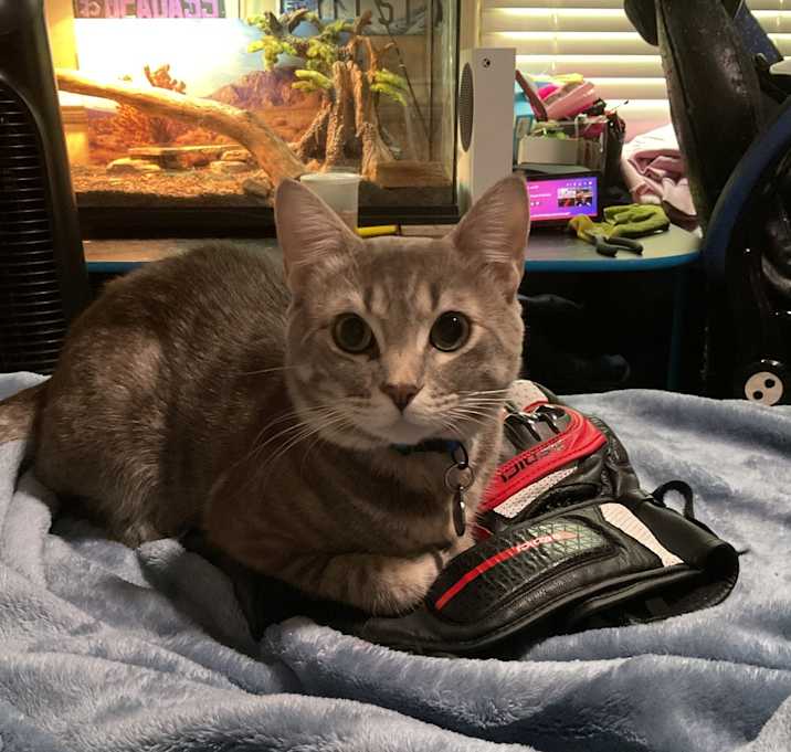 Photo of Stormie