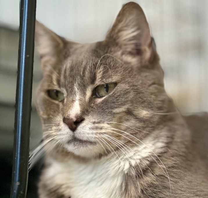 Photo of Siesta (fka Malibu)