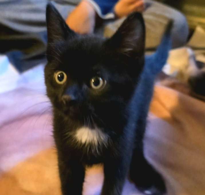 Photo of Choco