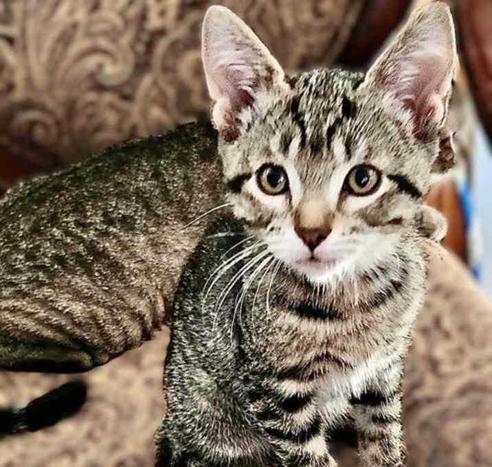 Photo of Augie