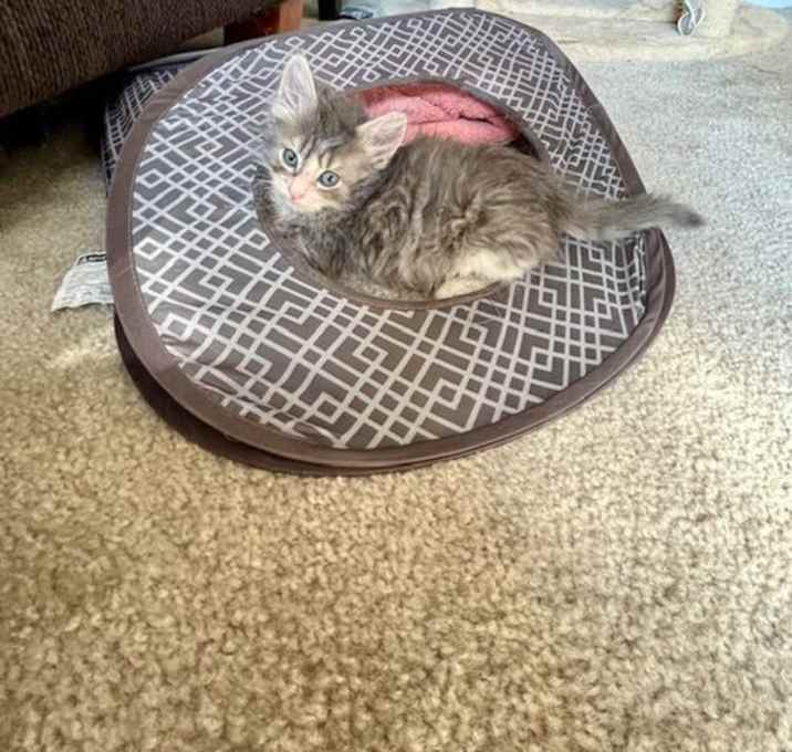 Photo of Betsy