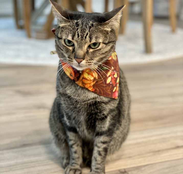 Photo of Westley