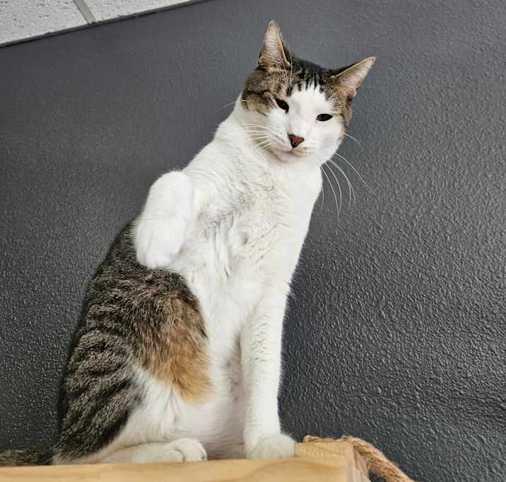 Photo of Bubbly