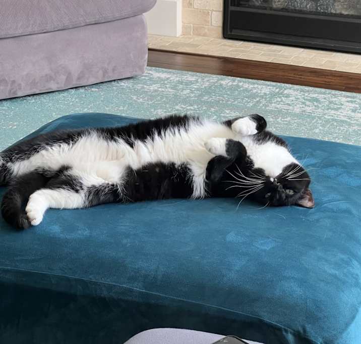 Photo of Alfred / Simon