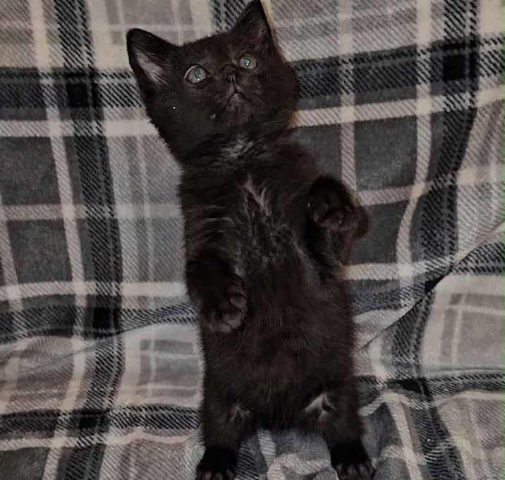 Photo of Bubby