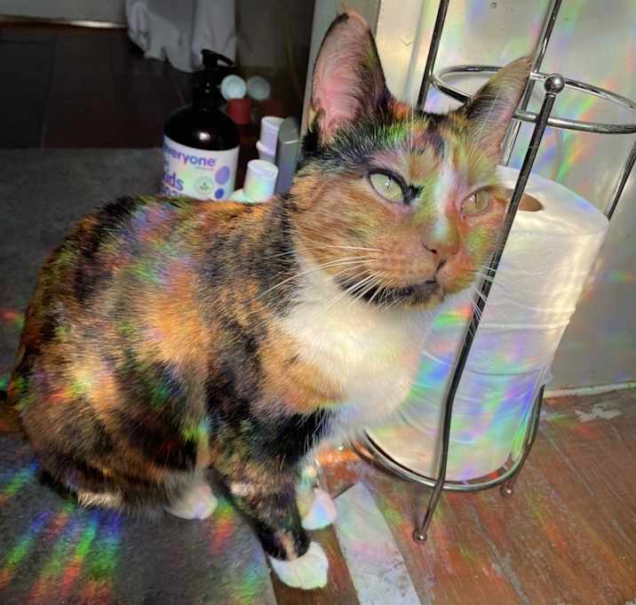 Photo of Mimi