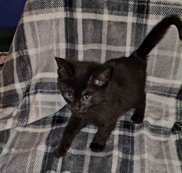 Photo of Brixy