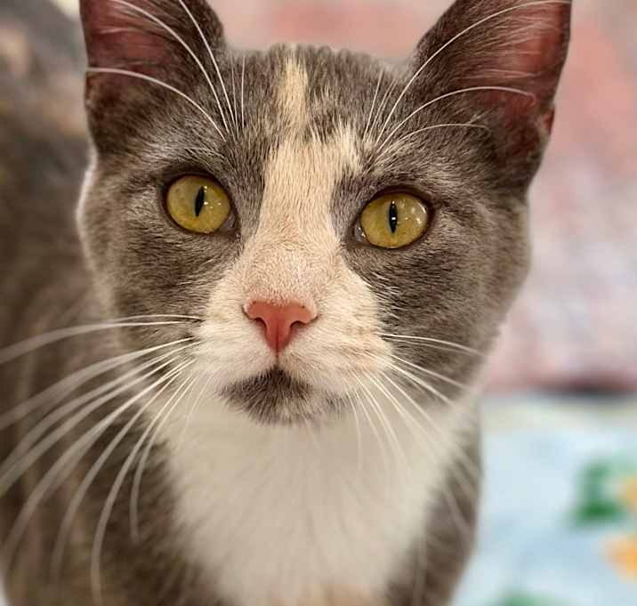 Photo of Lexi