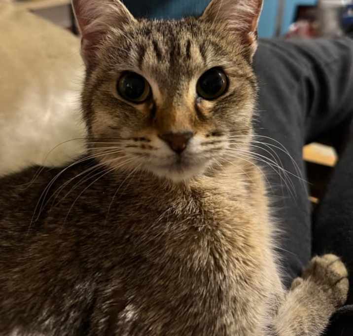 Photo of Izzy