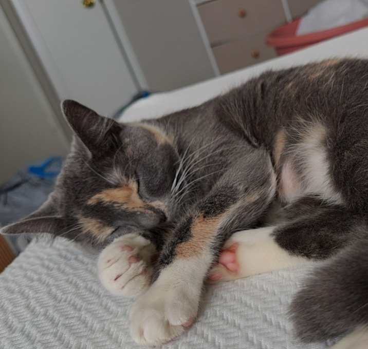 Photo of Lucy