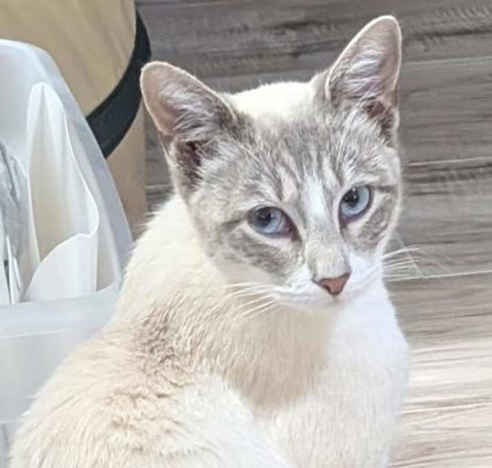 Photo of Kiki