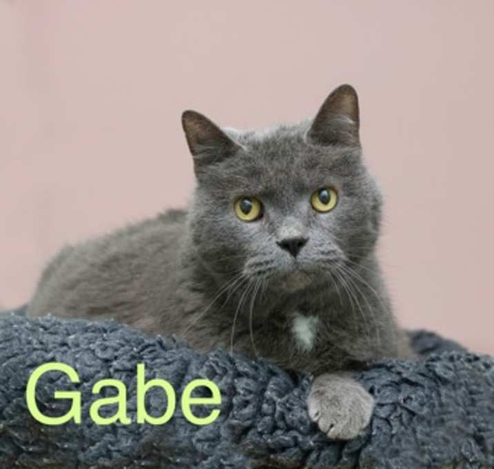 Photo of Gabe