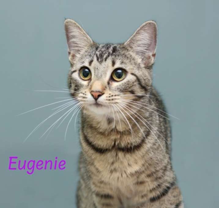 Photo of Eugenie
