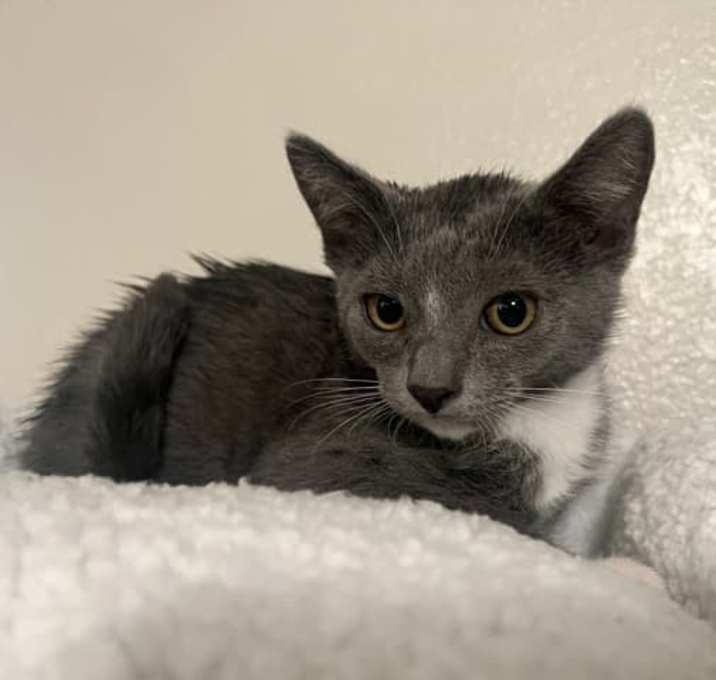 Photo of Simon
