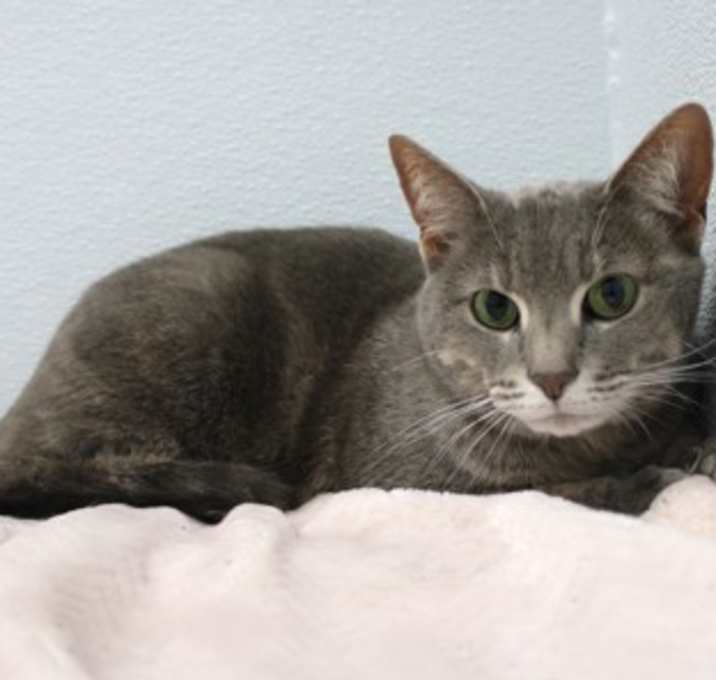 Photo of Princess