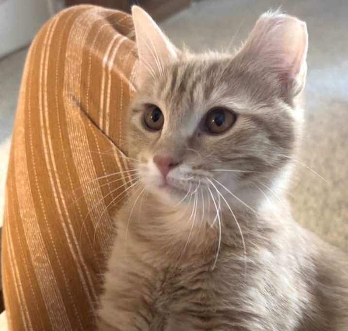 Photo of Allie